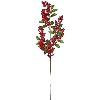 Traubenholunderbeeren-Zweig, 68 cm