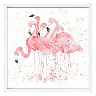 ProArt Bild  (Flamingo Family, B x H: 33 x 33 cm)