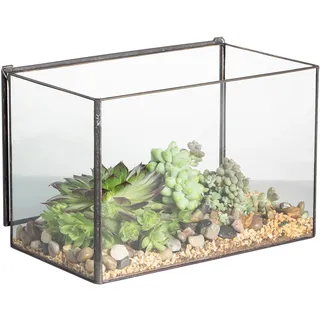 Rectangle Clear Glass Geometric Terrarium Box Tabletop Succulent Plant Planter Moss Fern by NCYP