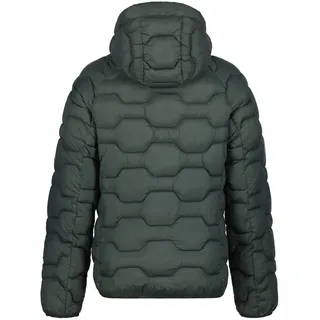 ICEPEAK Branch Herren Jacke, grün - 54