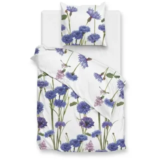 ZO HOME Bettwäsche ZO!Home, Renforcé, 2 teilig, blaue Kornblumen auf weißem Hintergrund blau