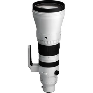 Sigma 300-600mm f/4,0 DG OS Sports Sony
