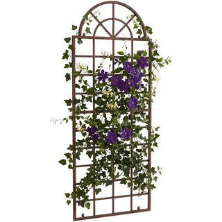CLP Rankgitter Viva 70 x 180 cm Antik Braun
