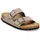 gray taupe 42