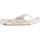 Tapioca/Vanilla Ice/Almond Cream 36 2/3