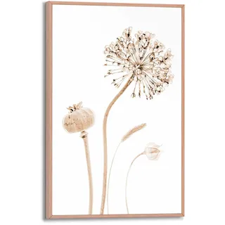 Reinders! Gerahmtes Bild, Trockenblumen, Wohnzimmer, Bilder, Wanddeko, Room Decor, MDF, Beige, 30 x 20