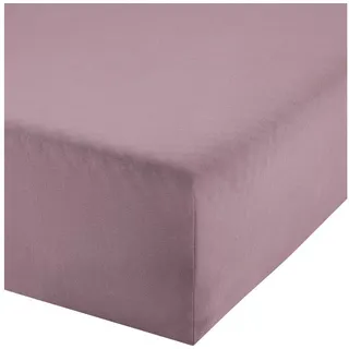 Erwin Müller Spannbettlaken Boxspringbett-Spannbettlaken "Freising", Jersey, Gummizug: Rundumgummi, (1 Stück), Elasthan-Jersey-Stretch Uni lila 180-200 cm x 200-220 cm