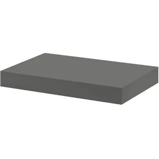 Dolle Wohnregale Wandregal Bigboard 45 x 25 cm Grau