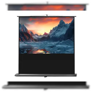 Celexon Ultramobil Professional 160 x 100 cm