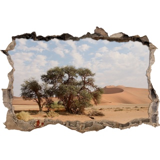 Pixxprint 3D_WD_S1265_92x62 kleine Bäume in trockener Wüstenlandschaft Wanddurchbruch 3D Wandtattoo, Vinyl, bunt, 92 x 62 x 0,02 cm