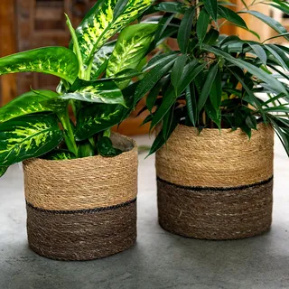 DARO DEKO Seegras Korb rund dreifarbig Ø 31 x 29 mit Einsatz Blumentopf geflochten Aufbewahrungskorb Über-Topf Blumenkorb
