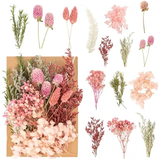 Trockenblumen, Natürliche Getrocknete Blumen, Trockenblumen zum Basteln Klein Set ​für DIY Kunst Basteln Deko Epoxidharz Kunsthandwerk Scrapbooking