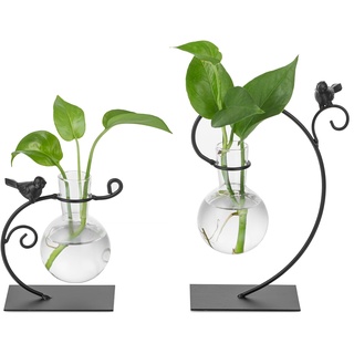 Sziqiqi Vermehrungsstation Pflanzen Glas Vase - Hydroponik Pflanzenständer Set von 2 Kleinen Terrarium Vasen mit Metall Kreative Vogel Stand Moderne Birne Vase für Wohnzimmer Tischdeko Küche Desk