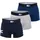 Hipster Trunk blau/grau L