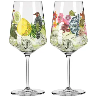 Dekomiro Ritzenhoff 2er Set Sommertau Hugo Aperitifglas #5+ #6 mit Glasreinigungstuch