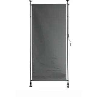 Garden Pleasure Aluminium Klemm-Sichtschutz 120 x 316 cm Anthrazit