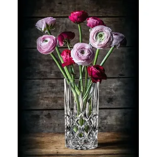 Nachtmann Noblesse, Vase mit runder Form, Glas, Transparent, Tisch, Drinnen, 231 mm - Transparent