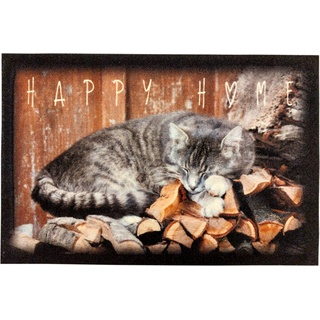 Fußmatte, oKu-Tex, Fußmatte, Katze, Katzen, Katzenmotiv, Innenbereich, Türvorleger, Dekorativ, Waschbar, Rutschfest, Pflegeleicht braun 40 cm x 60 cm