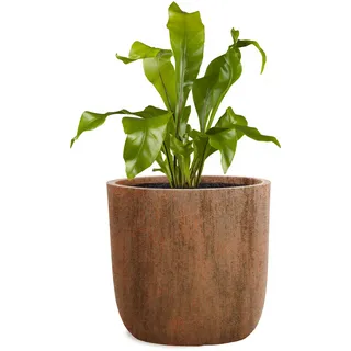 Pflanzwerk® Pflanzkübel Cup - Blumentöpfe Übertöpfe Ø27cm ROST *Frostbeständige Blumenkübel* *UV-Schutz* *Deutsche Pflanzenkübel Qualität*