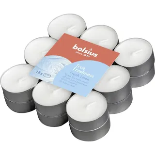 Bolsius Duftteelichter True Freshness Morgenfrische Ø 3,8 cm, 18er Pack Teelichter