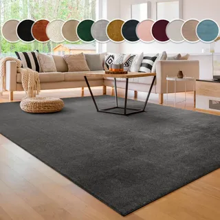 Paco Home Cadiz 630 Kurzflorteppich 60 x 100 cm anthrazit