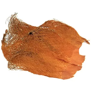 Trockenblume Palmfaser Natur 1kg - Deko Basteln Floristik Afrika, Florists Products, Höhe 0.5 cm