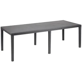 PROGARDEN Ausziehetisch 220 x 90 x 72 cm anthrazit