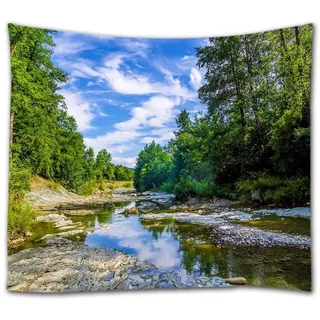 A.Monamour Wanddekor Wandbild Vorhang Wandteppiche Grünen Wald Bäume Fluss Felsen Blauen Himmel Weiße Wolken Natur Landschaft Bild Drucken Textilgewebe Wand Tapisserie Wandbehänge Wohnheim 180x230 cm