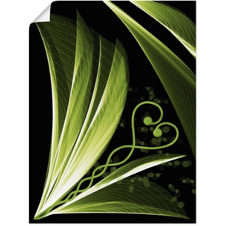 Wandbild ARTLAND "Grünes Herzblatt dekorativ" Bilder Gr. B/H: 45 cm x 60 cm, Poster, grün Bilder als Alubild, Leinwandbild, Wandaufkleber oder Poster in versch. Größen
