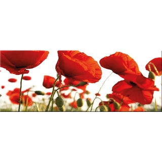 artissimo, Glasbild, 80x30cm, AG1966A, Red Poppy, rote Mohn-Blumen, Bild aus Glas, moderne Wanddekoration aus Glas, Wandbild Wohnzimmer modern