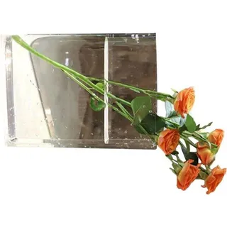 Famanu Bücher-Vase Dekorativ - Einzigartiges Buchdesign - 20x16x5 cm - Transparent Weiß
