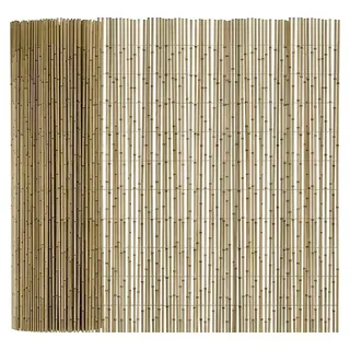 T & J Schilfrohrmatte Sylt  (600 x 160 cm, Geeignet für: Sichtschutz)