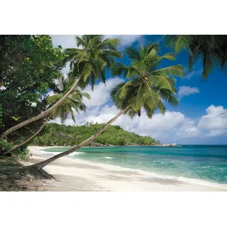 KOMAR Fototapete Tropical Sea 368 x 254 cm