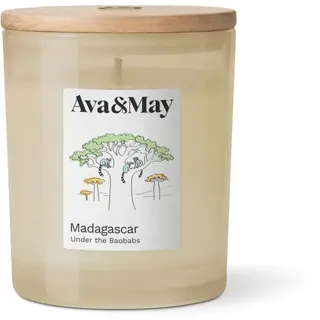 Ava&May Madagascar Duftkerze 220g Süss Vegan, 100% pflanzenbasiertes Wachs | Bis zu 60 Stunden Brenndauer.