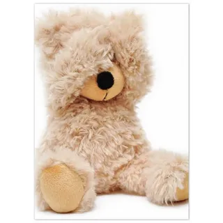 Wallario Teppich Süßer Teddybär, rechteckig, rutschfest braun 50 cm x 70 cm