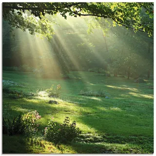 ARTland Wanddeko Glasbilder Wandbild Glas Bild einteilig Quadratisch Natur Landschaft Wald Sonne Sommer Wiese Blätter Baum T5XX
