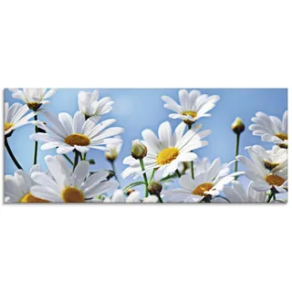 ARTland Wanddeko Glasbilder Wandbild Glas Bild einteilig 125x50 cm Querformat Natur Blumen Blüten Gänseblümchen Margeriten Landhaus T2YI