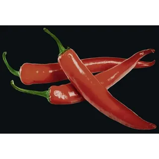 Wenko Spritzschutz 60 x 70 cm Mehrfarbig