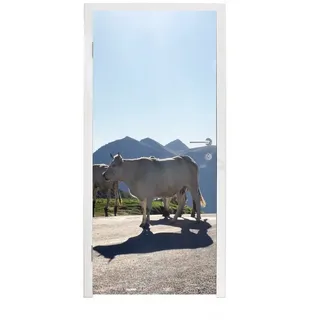 MuchoWow Türtapete Schottische Highlander - Licht - Berge - Natur, Matt, bedruckt, (1 St), Türfolie Selbstklebend, Türtapete, Türdeko Poster, 95x235 cm bunt 95 m x 235 m