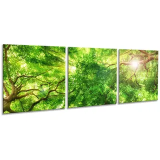 artissimo Artissimo, Braun, Glas, Baum/Pflanze/Natur, Rechteckig, 150x50 cm, Bilder und Zubehör, Wandbilder, Glasbilder