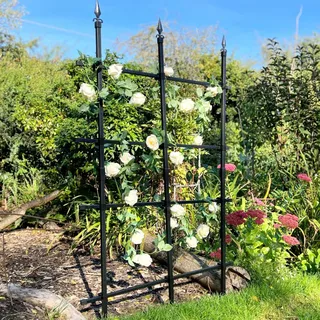 GardenSkill Rankgitter für Kletterpflanzen Garten-Spalier | Rankhilfe, Metallrosenzaun, Freistehender Sichtschutz für Gartengrenzen, Pflanzenstütze, Blumen, Reben - Rostfrei (Schwarz, 180x150cm hoch)