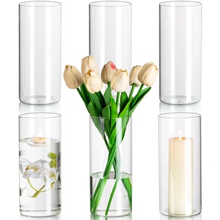 Glasseam Zylinder Vasen Deko Modern Blumenvasen, 6 Stück Glas Vasen Set, 20 x 8,5 cm Tulpenvase Glas Zylinder Kerzenständer für Stumpenkerzen, Minimalistische Flower Vase für Tischdeko Esstisch