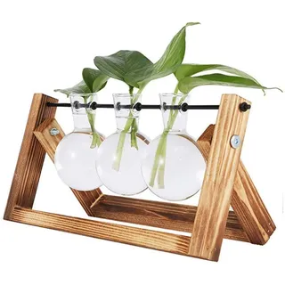 Vandove Hydroponik Vase, Hängevase Pflanzenvase Glasvase Planter Bulb Vase, Blumenvase Tischvase Dekovase Deko Holz Halte, für Home Garden Office Dekoration (3 Vasen)