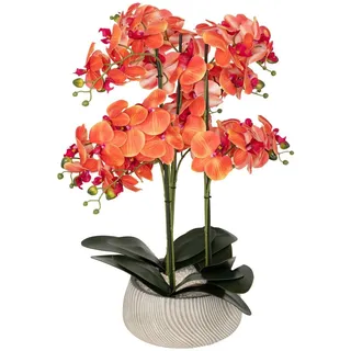 Atmosphera Créateur d'intérieur Atmosphera - Künstliche Orchidee im Topf Sanae orangefarbener zementtopf h65cm