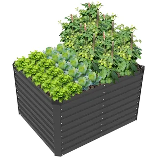 Konifera Emmy 100 x 80 x 60 cm Grau