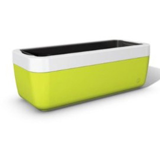 Emsa MyBox Blumenkasten 50 cm grün inkl. weißemRahmen Balkonkasten Pflanzkasten
