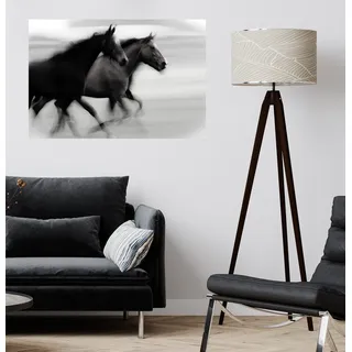 QUEENCE Wandsticker "Horses" Wandtattoos Selbstklebend, kinderleichte Anbringung Gr. B/H/T: 150 cm x 100 cm x 0,1 cm, Pferd-Pferde, schwarz Wandtattoos Tiere