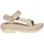 Damen Oyster 41