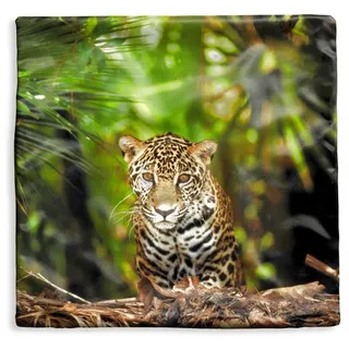 MuchoWow Dekokissen Junger Jaguar im Dschungel, Kissenbezüge, Kissenhülle, Deko Kissenbezug, Kissen, 50x50 cm bunt Quadratisch | 50 cm x 15 cm x 50 cm