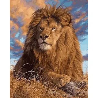 Pracht Creatives Hobby GmbH Diamond Painting Löwe 40 x 30 cm